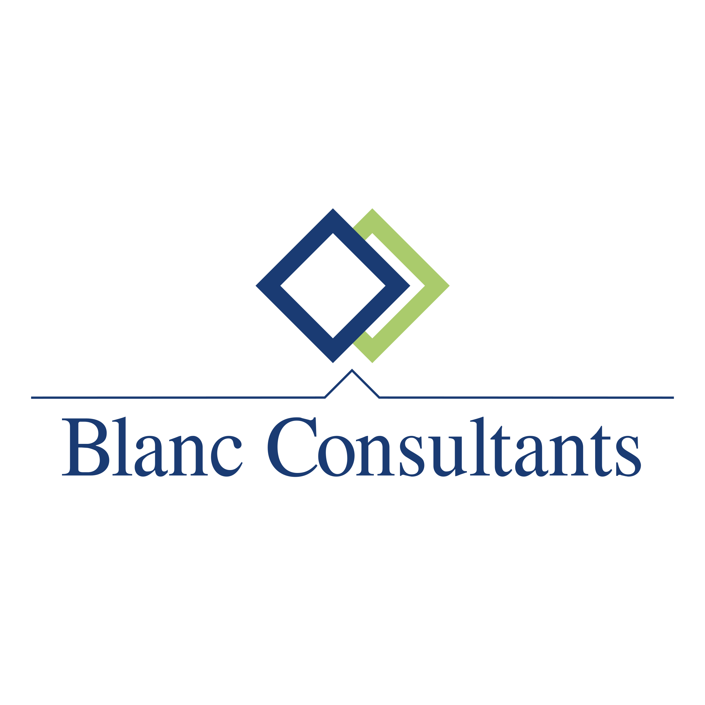 blanc Consultant